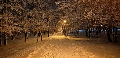 rolKI24.INFO | Śnieg w końcu nas rozpieścił! ⛄️❄️-54624