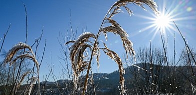 W niedzielę zaczyna się astronomiczna zima-55309