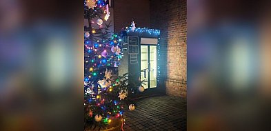 Nie wyrzucaj - podziel się jedzeniem z potrzebującymi-55405