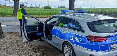 Maserati na zakazie. Kierowca odpowie za przestępstwo i wykroczenie-55492