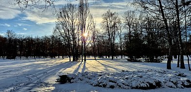 rolKI24.INFO | Nareszcie trochę posypało-55621