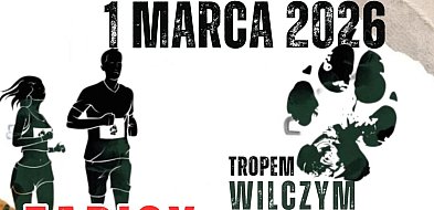 Tropem Wilczym 2026 w Gniewkowie. Bieg, marsz i odsłonięcie tablicy