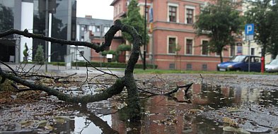 Wiatr nie odpuszczał. Strażacy mieli pełne ręce roboty