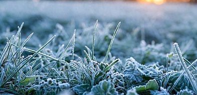 Noc przyniesie przymrozki. IMGW wydało ostrzeżenie