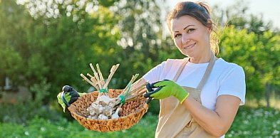 Lubisz pracę z roślinami? Zamień pasję w zawód dzięki Ramus