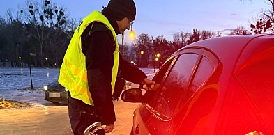 Trzeźwe popołudnie. Policjanci skontrolowali kierowców