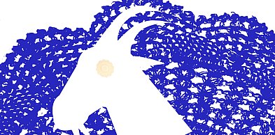 Koza Kujawska wraca do gminy Gniewkowo. Jest plan korowodu