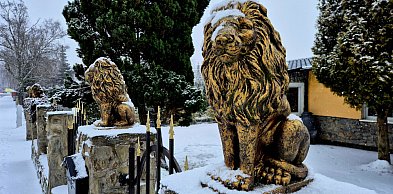 rolKI24.INFO | Znowu posypało ❄️☃️