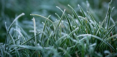 Uwaga na nocne przymrozki w Inowrocławiu