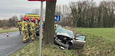 Fiat uderzył w drzewo. Kierująca trafiła do szpitala