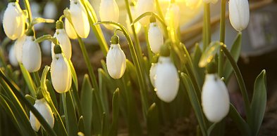 Klimatolog: nadchodzi wyż, a z nim słoneczna pogoda na święta