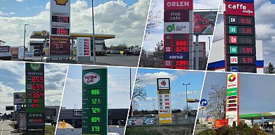 Sondaż dla „SE”: 80 proc. Polaków na tak dla cen urzędowych paliw