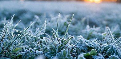 Noc przyniesie przymrozki. IMGW wydało ostrzeżenie