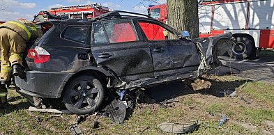 BMW uderzyło w drzewo. Kierowca nie żyje