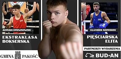 W Pakości będzie bokserska gala. I to za darmo!