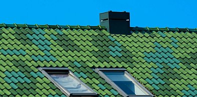 Co naprawdę niszczą kuny w dachu i dlaczego skutki widać dopiero po czasie?