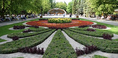 Miasto szykuje morze kwiatów. Wiadomo, co pojawi się na rabatach