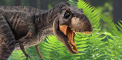 Dzień Dziecka z dinozaurami. Prehistoryczny piknik w Janikowie