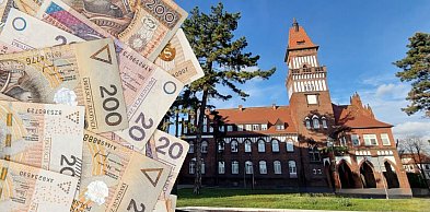 Od fartucha kuchennego po herbatę liściastą. Miasto kupuje gadżety promocyjne