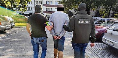 Urzędnik ze starostwa zatrzymany. Współpracował z mafią śmieciową-51840