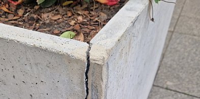 Wroński: Po zimie na deptaku zamiast donic - kupa ziemi i gruzu-52307