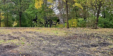 rolKI24.INFO | Duże zmiany pod Mysią Wieżą-53439