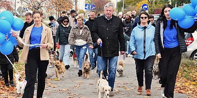 Radość, energia i merdające ogony-53484