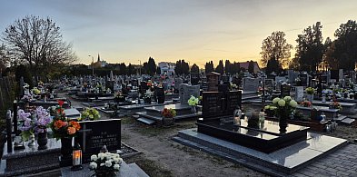 rolKI24.INFO | Ile inowrocławianie wydają na Wszystkich Świętych?-53639