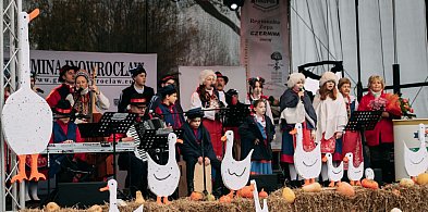Gęsina zachwyciła smakami. Festiwal w Łojewie pełen atrakcji-54035