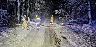 Strażacy mają pełne ręce roboty po nocnych opadach śniegu-54615