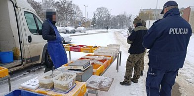 Kontrole ryb na targowiskach. Służby ruszyły przed świętami-54606
