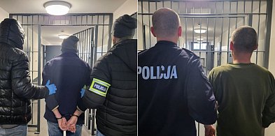 Ojciec i syn z zarzutami. Nie żyje pies, dwa inne skrajnie zaniedbane-54720