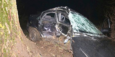 Audi uderzyło w drzewo pod Kruszwicą. Nie żyje 20-latek-54921