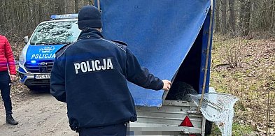 Patrolują lasy, zaglądają do bagażników i na przyczepy-55336