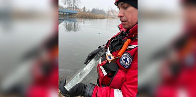 Cienki lód na Gople. WOPR ostrzega: nie wchodź na taflę-55411
