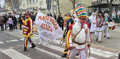 Kolorowy orszak zakończył karnawał