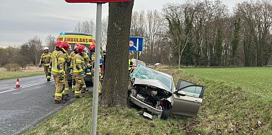 Fiat uderzył w drzewo. Kierująca trafiła do szpitala