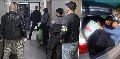Nielegalni migranci w aucie. Zatrzymanie pod Inowrocławiem