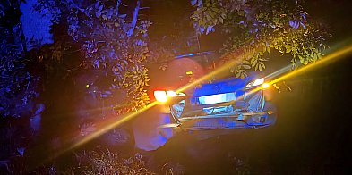 BMW wjechało w tył opla. Skończyli w krzakach-52314