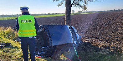 Pasażer opla ranny po uderzeniu w drzewo-52616