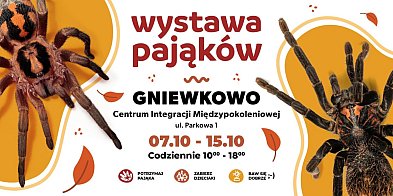 Wystawa pająków i skorpionów w Gniewkowie-52833