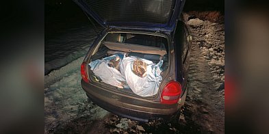 Nocny pościg za kłusownikami i 100 kg ryb z Gopła w bag-54747