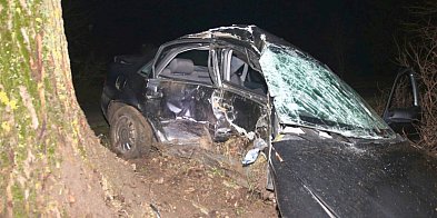 Audi uderzyło w drzewo pod Kruszwicą. Nie żyje 20-latek-54921