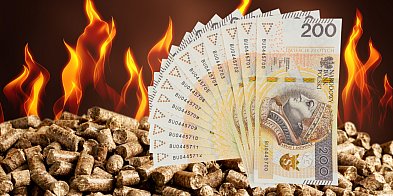 Okazyjnie kupił pięć palet z pelletem...-56062