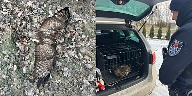 Nie poleciał, ale pojechał policyjnym radiowozem