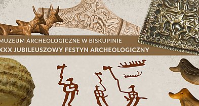 Jubileuszowy Festyn Archeologiczny w Biskupinie-52176