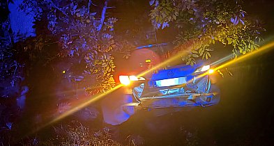 BMW wjechało w tył opla. Skończyli w krzakach-52314