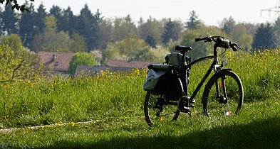 Na rowerze z książką po smak jesieni-52903