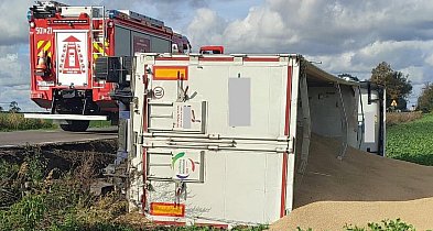 Zboże trafiło na pole, ale chyba nie o taki siew chodziło-53106