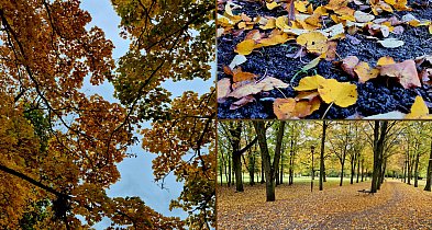 rolKI24.INFO | 🍂 W Solankach już prawdziwa jesień! 🍁-53250